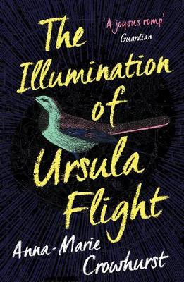 Bild des Verkufers fr The Illumination of Ursula Flight zum Verkauf von moluna