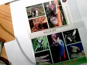 Seller image for Australian Fauna. Wildlife & Tropical Wildlife. Set 2 x Mehrbild AK farbig, ungel. ca 80ger Jahre, Koala, Kangaroo, Echidna, Butterflies, regal Cassowary, Reef Herons, Crocodile and Angel Fish, Australien, Tierfotografie for sale by ABC Versand e.K.