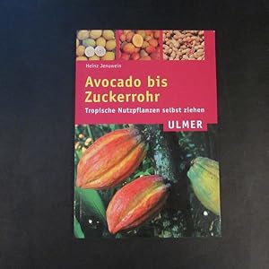 Seller image for Avocado bis Zuckerrohr - Tropische Nutzpflanzen selbst ziehen for sale by Bookstore-Online