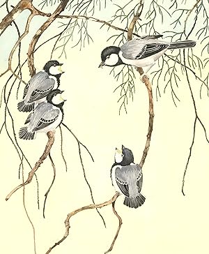 R.F. Jacob - Mid 20th Century Watercolour, Feeding Baby Birds
