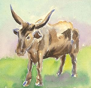 F. E. Horne - A Set of Three Mid 20th Century Watercolours, Study of a Bull