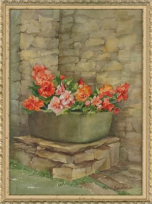 Muriel Buckler - 20th Century Watercolour, Garden Flowers