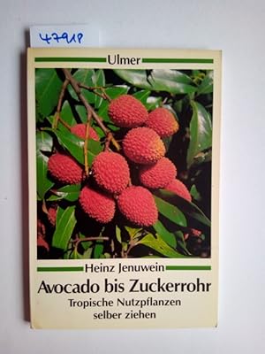 Imagen del vendedor de Avocado bis Zuckerrohr : tropische Nutzpflanzen selber ziehen / Heinz Jenuwein Ulmer-Taschenbuch ; 28 a la venta por Versandantiquariat Claudia Graf