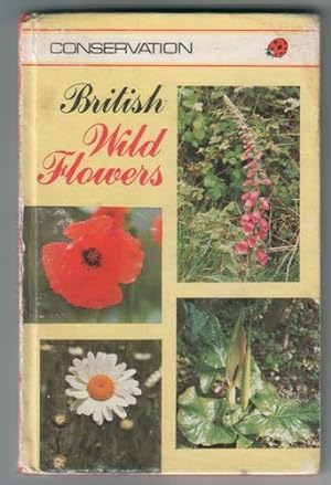 Imagen del vendedor de British Wild Flowers a la venta por The Children's Bookshop