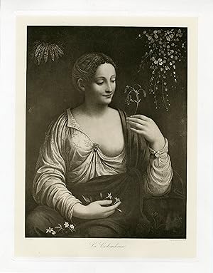 "Bernardino LUINI : La Colombine" / Phototypie originale d'après un tableau de Bernardino LUINI (...