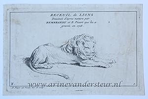 [Antique prints, etching, 1728] Seven etchings of lions after Rembrandt, of a set of eight, makin...