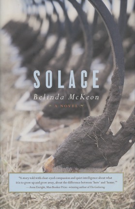 Imagen del vendedor de Solace: A Novel a la venta por Kenneth A. Himber