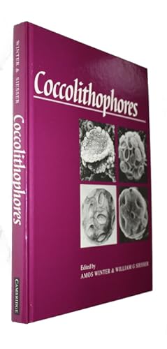 Coccolithophores