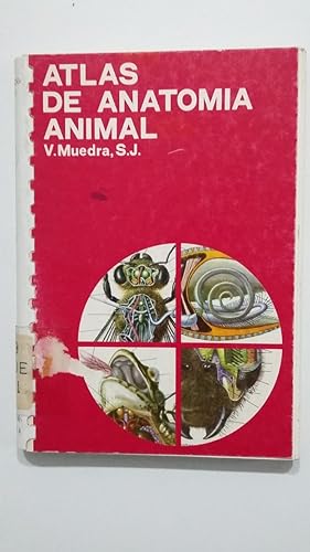 Imagen del vendedor de ATLAS DE ANATOMIA ANIMAL. V. MUEDRA. S.J. TDK427 a la venta por TraperaDeKlaus