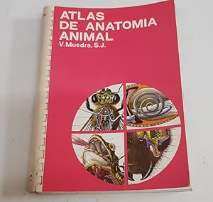 Imagen del vendedor de ATLAS DE LA ANATOMIA ANIMAL - MUEDRA - EDICIONES JOVER - TDK173 a la venta por TraperaDeKlaus