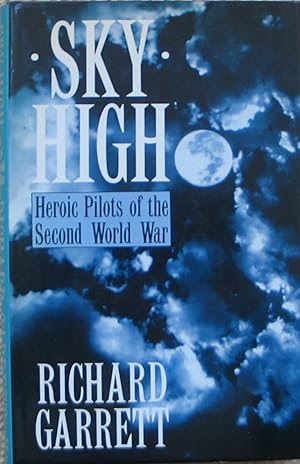 Sky High - Heroic Pilots of the Second World War