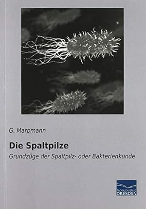 Seller image for Die Spaltpilze: Grundzge der Spaltpilz- oder Bakterienkunde for sale by WeBuyBooks