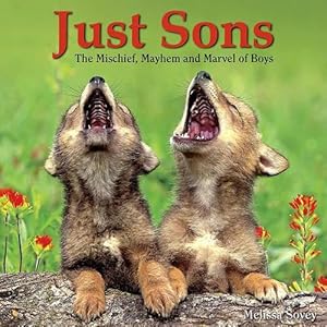 Imagen del vendedor de Just Sons: The Mischief, Mayhem and Marvel of Boys (Hardcover) a la venta por Grand Eagle Retail