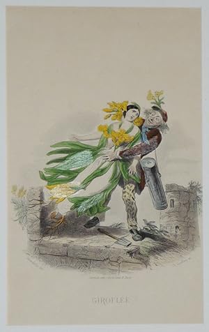 Bild des Verkufers fr Gravure fin XIXe de Grandville pour "Les Fleurs animes" : Girofle zum Verkauf von Abraxas-libris