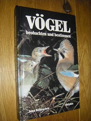 Vögel beobachten und bestimmen