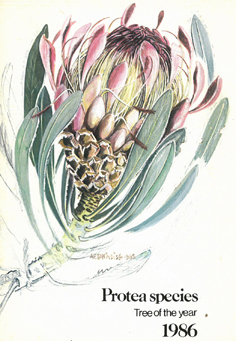 Protea Species - Tree of the Year 1986