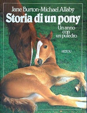 Image du vendeur pour Storia di un pony mis en vente par Librodifaccia