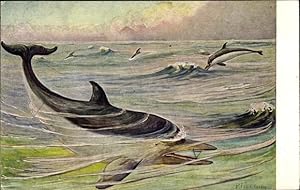 Bild des Verkufers fr Knstler Ansichtskarte / Postkarte Flanderky, P., Delfine im Ozean, Tmmler, Meinholds Tierbild Nr 138 zum Verkauf von akpool GmbH