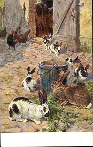 Bild des Verkufers fr Knstler Ansichtskarte / Postkarte Meinholds Tierbild Nr. 146, Kaninchen zum Verkauf von akpool GmbH