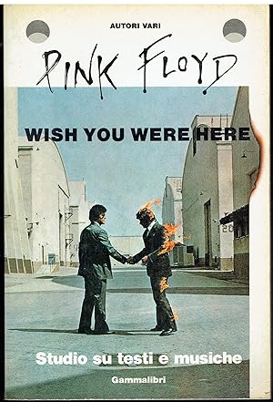 Pink Floyd - Wish you were here - Studio su testi e musiche