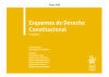 Seller image for Tomo XXII Esquemas de Derecho Constitucional 5 Edicin 2020 for sale by AG Library