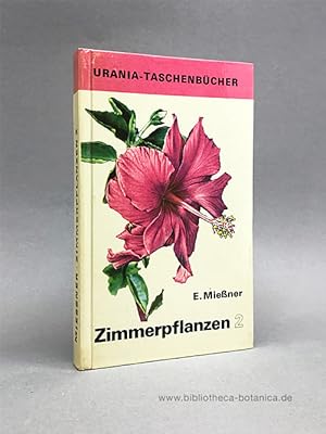 Zimmerpflanzen 2.