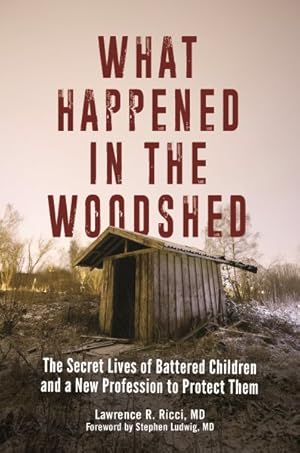 Image du vendeur pour What Happened in the Woodshed : The Secret Lives of Battered Children and a New Profession to Protect Them mis en vente par GreatBookPrices