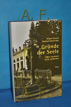 Bild des Verkufers fr Grnde der Seele : die Wiener Psychiatrie im 20. Jahrhundert. zum Verkauf von Antiquarische Fundgrube e.U.
