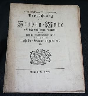 A.W. Winterschmid's Beobachtung einer Stuben-Muke mit sehr viel kleinen Insekten : welche durch d...