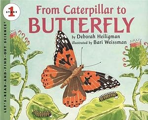 Seller image for From Caterpillar to Butterfly for sale by GreatBookPricesUK