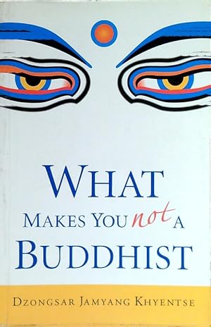 Bild des Verkufers fr What makes you not a buddhist zum Verkauf von Librodifaccia