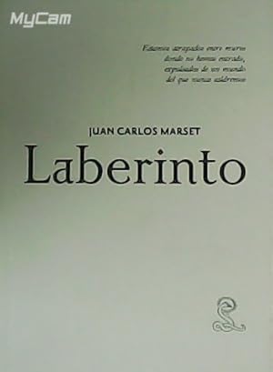 Immagine del venditore per Laberinto. venduto da Librera y Editorial Renacimiento, S.A.