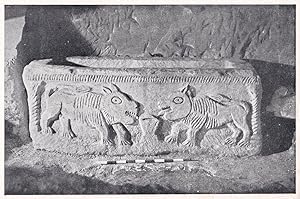 Beth Shearim The Lion Sarcophagus Israel Postcard