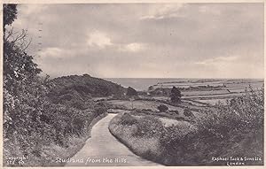 Studland From The Hills Dorset Antique Postcard