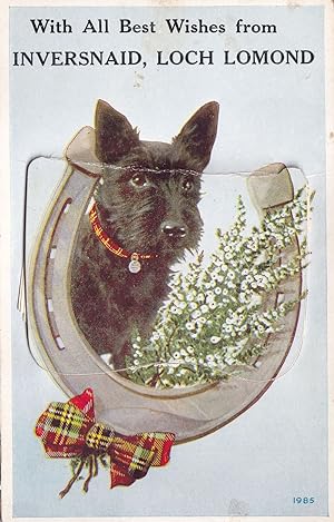 Inversnaid Loch Lomond Scotty Dog Mailing Novelty Postcard