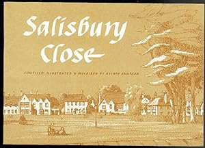 Imagen del vendedor de Salisbury Close a la venta por Lazy Letters Books