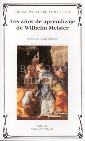 Los años de aprendizaje de Wilhelm Meister. Edición y traducción de Miguel Salmerón