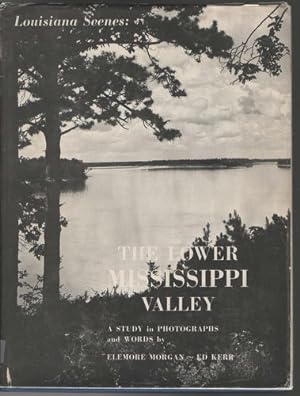 Imagen del vendedor de The Lower Mississippi Valley a la venta por Susan Davis Bookseller