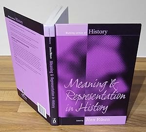 Meaning and Representation in History (Making Sense of History Series)