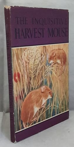 Seller image for The Inquisitive Harvest Mouse. A Story by Noel Barr. Illustrations by P. B. Hickling. EARLY LADYBIRD BOOK. SERIES 497. for sale by Addyman Books