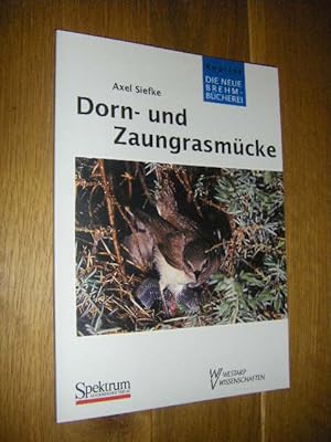 Dorn- und Zaungrasmücke. Sylvia communis Latham, S. curruca (Linne)