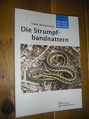 Bild des Verkufers fr Die Strumpfbandnattern. Biologie, Verbreitung, Haltung zum Verkauf von Versandantiquariat Rainer Kocherscheidt