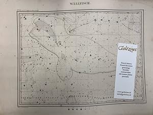 Wallfisch: from Vollstandiger Himmels-Atlas fur Freunde und Liebhaber der Sternkunde (.) gezeichn...