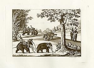 Antique Print-ELEPHANT-HUNT-BURMA-MYANMAR-PL.LXXVI.-Ferrario-Zancon-c.1827