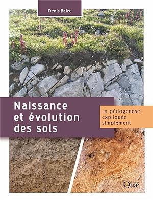 naissance et évolution des sols ; la pédogenèse expliquée simplement