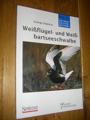 Bild des Verkufers fr Weiflgel- und Weibartseeschwalbe zum Verkauf von Versandantiquariat Rainer Kocherscheidt