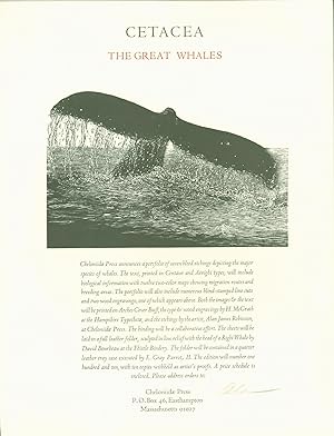 Cetacea: The Great Whales. (press announcement poster)