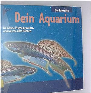 Dein Aquarium