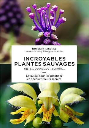 incroyables plantes sauvages ; trèfle, coquelicot, benoîte. ; le guide pour les identifier et déc...