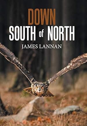 Seller image for Down South of North for sale by WeBuyBooks